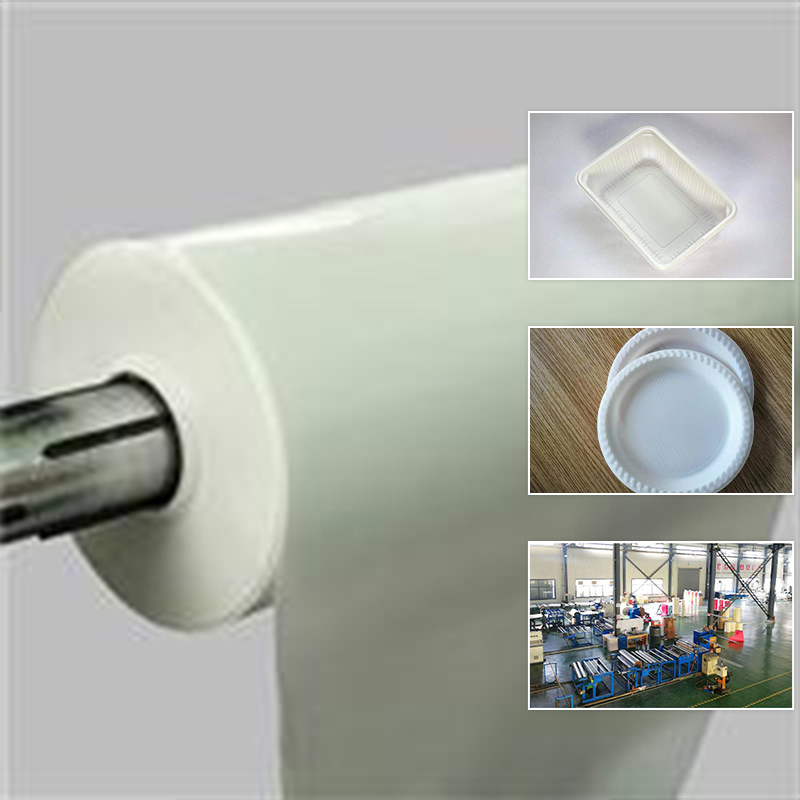 Polylactic acid sheet