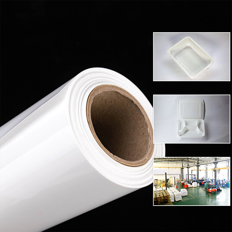 Polylactic acid sheet